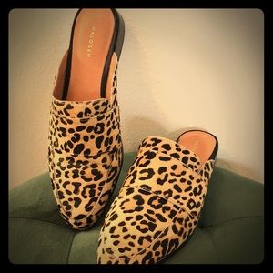 Halogen Leopard Print Genuine Calf Hair Mules